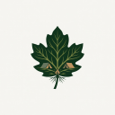 FriendCampCove Forest Leaf Logo